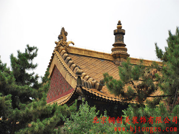TCM-YLGJ-14